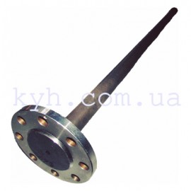 Полуось Эталон (Индия)